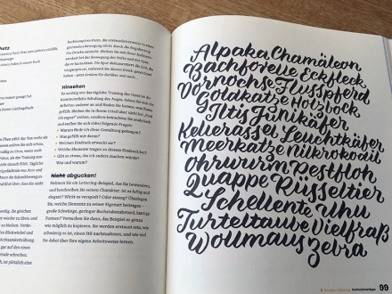 Seite 98 und 99 aus dem Handbuch Handlettering von Chris Campe, Haupt-Verlag 2017. Foto: Janne Klöpper